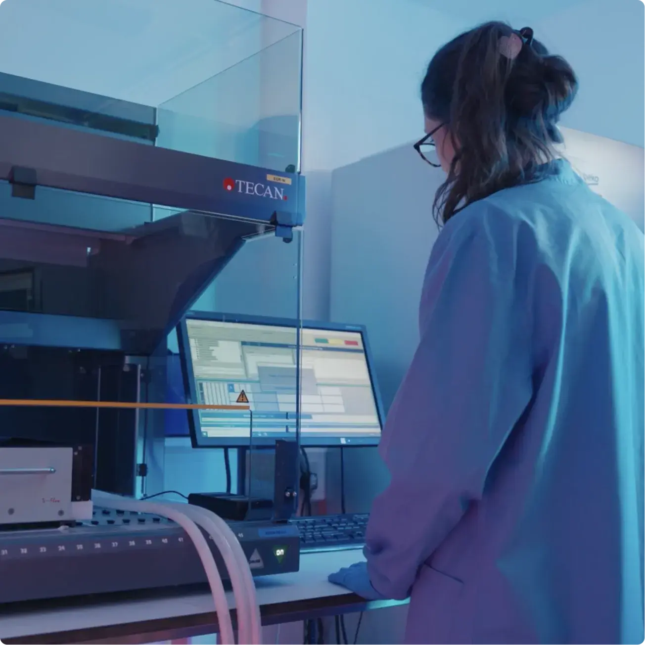 What the test analyses