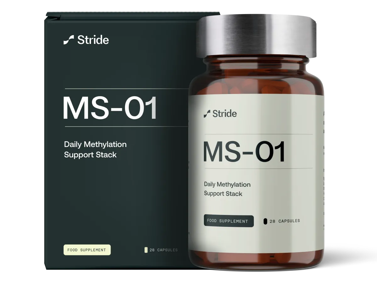 MS-01