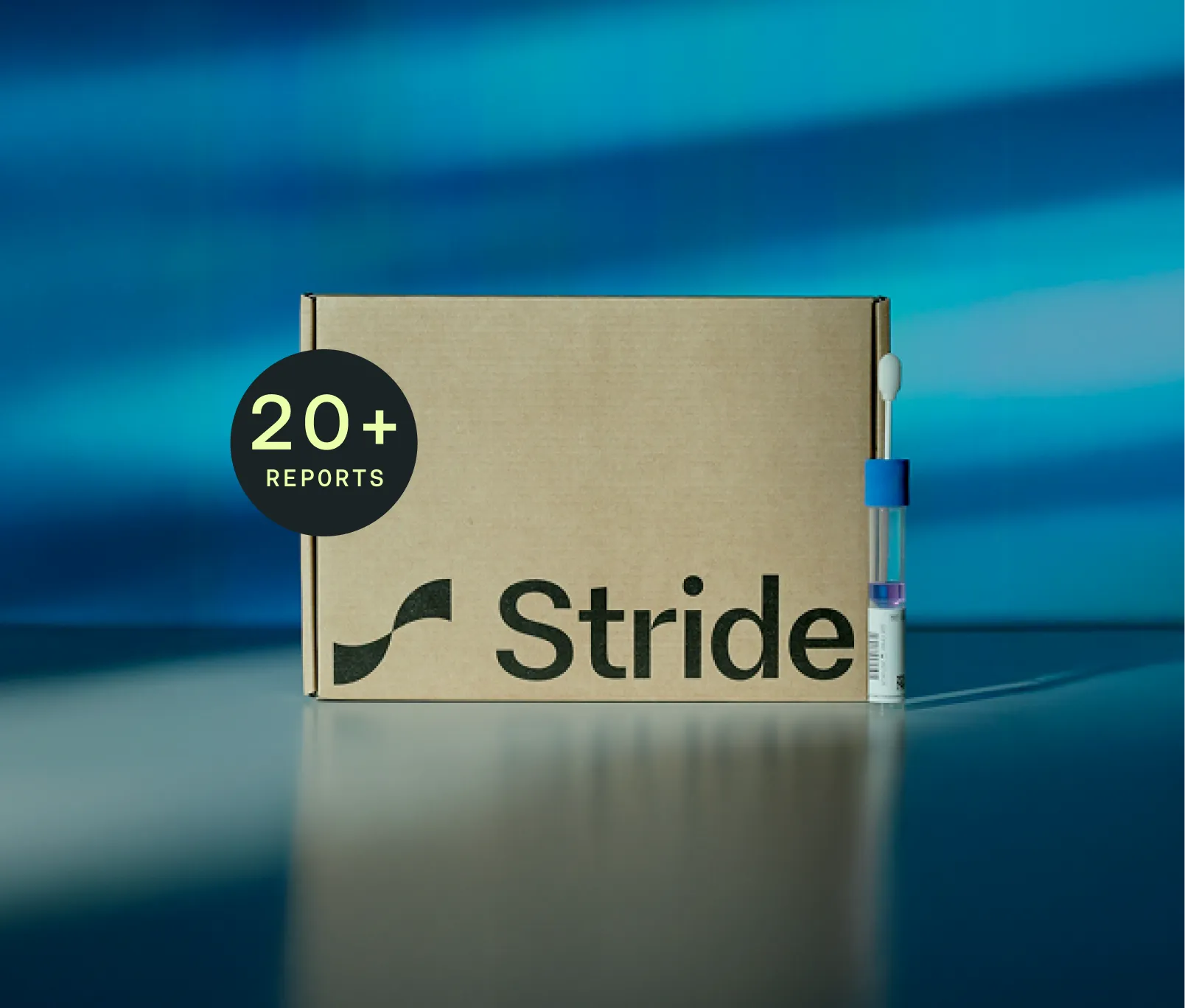 Advanced DNA & Methylation