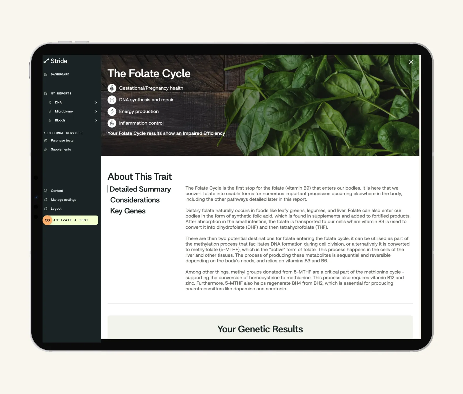 Methylation test kit — view 3