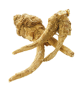 Ginseng Extract