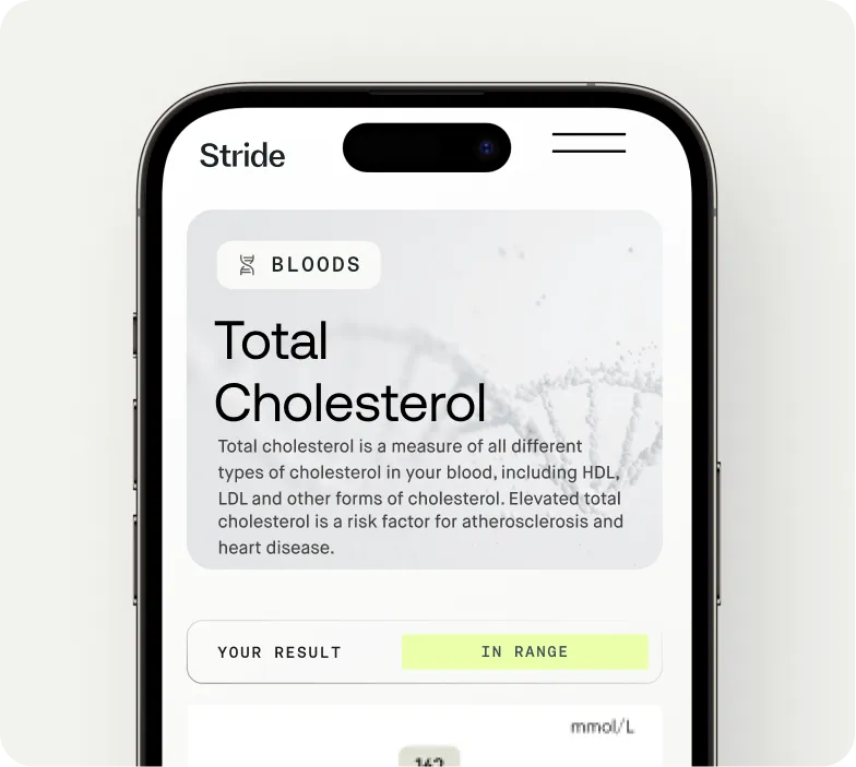 >Re-test and Measure Progress
